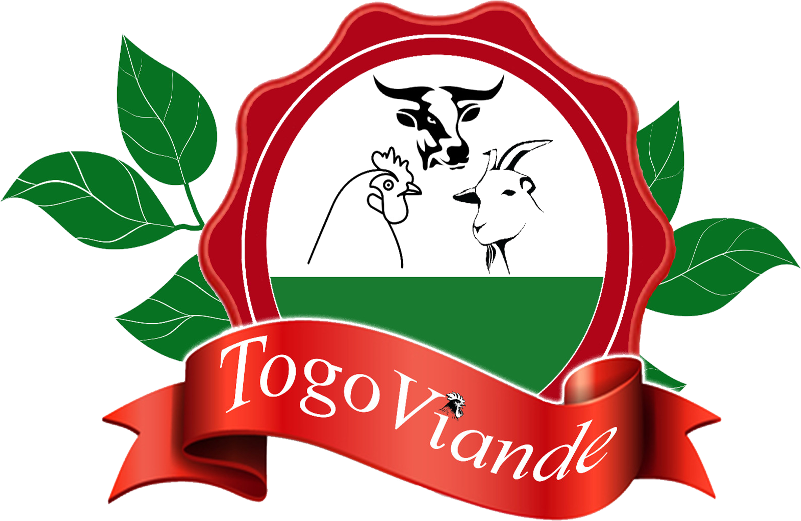 Togoviande1